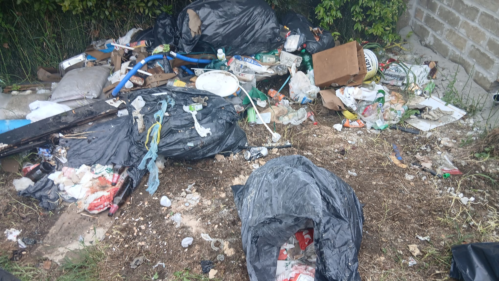 Sgombero trevignano romano Roma